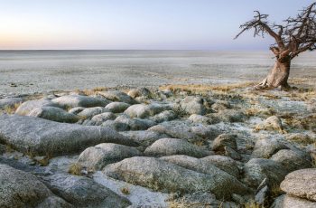 Makgadikgadi Salt Pans