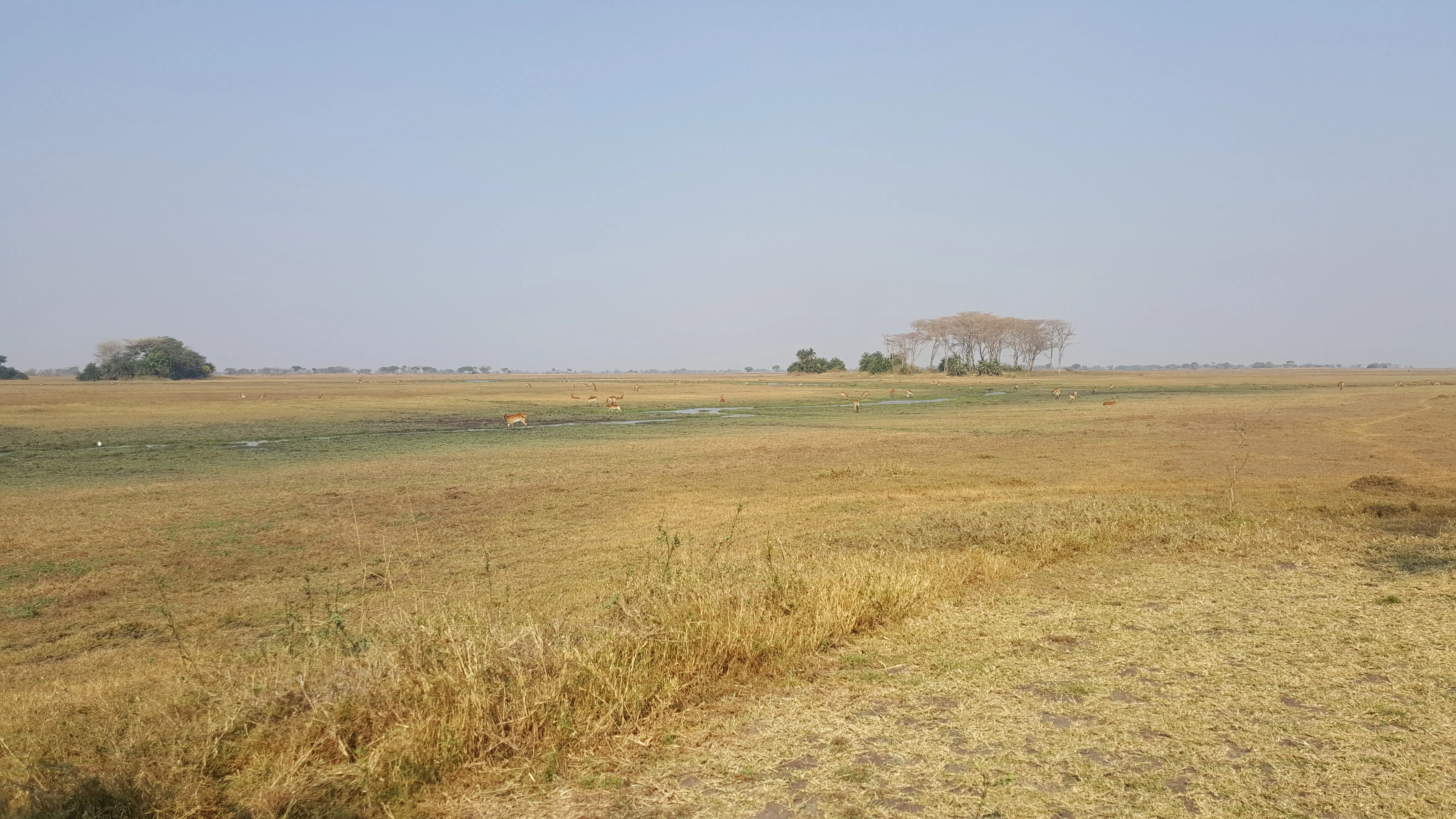 Busanga Plains – Kafue